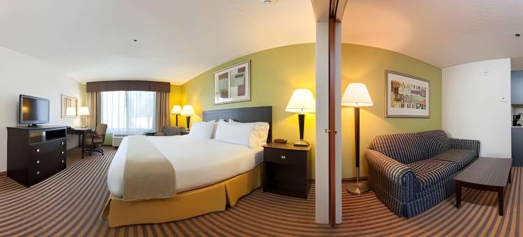 智选假日套房酒店卡拉马祖(Kalamazoo Hotel and Suites)图片