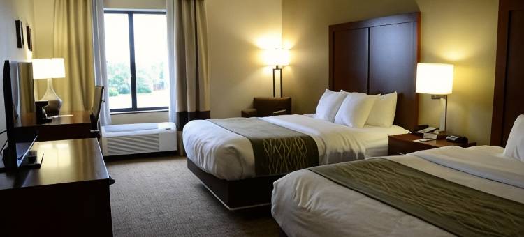 舒适套房酒店(Comfort Inn & Suites)图片