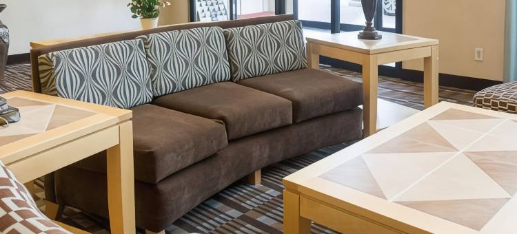 匡蒂科凯艺套房酒店(Quality Inn & Suites Quantico)图片