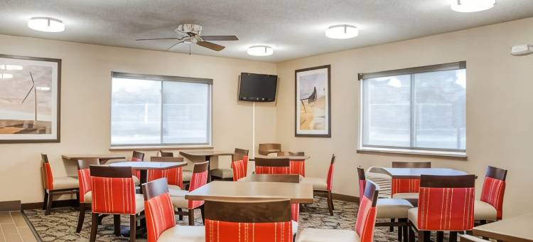 舒适酒店(Comfort Inn)图片