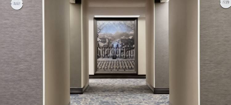 新奥尔良希尔顿机场酒店(Hilton New Orleans Airport)图片