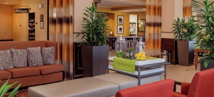 圣路易斯机场希尔顿花园酒店(Hilton Garden Inn St. Louis Airport)图片