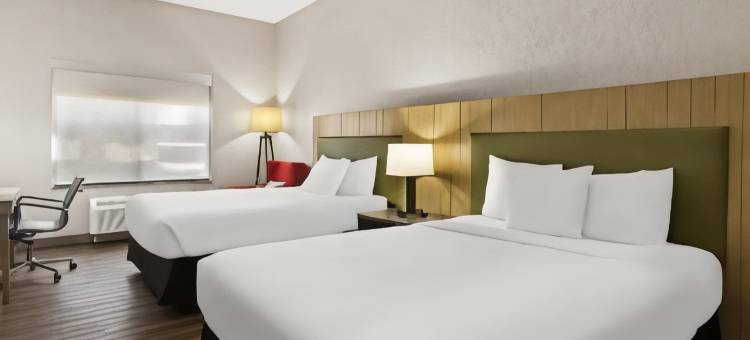 海恩斯维尔丽怡酒店(Country Inn & Suites by Radisson, Hinesville, GA)图片