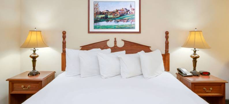 欧扎克呗盟套房酒店(Baymont by Wyndham Ozark)图片