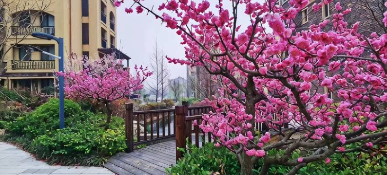 爱莲湾旅游度假区11号海墅民宿(滨海大道1号分店)图片