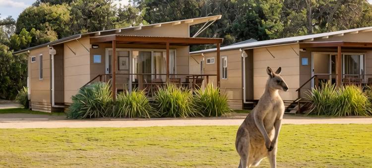 帕布拉海滩探索公园酒店(Discovery Parks - Pambula Beach)图片