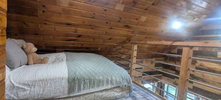 Charming 4-bedroom cottage ON Tawas Lake Pet, kid-friendly. Great Bird watching!图片