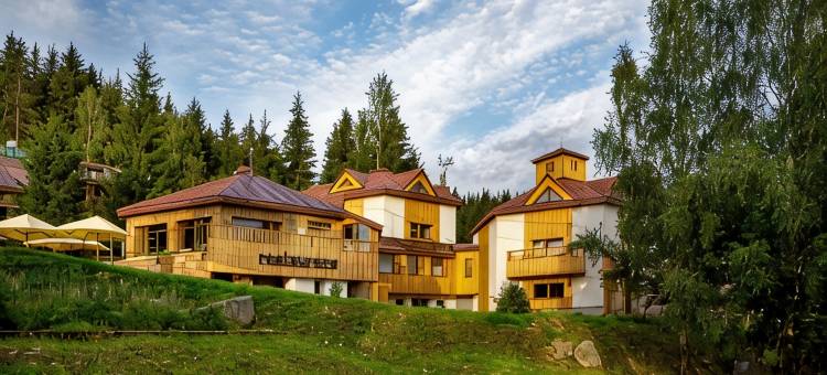 Ski & Spa Bellevue Harrachov滑雪及温泉度假村(Ski & Spa Hotel Bellevue)图片
