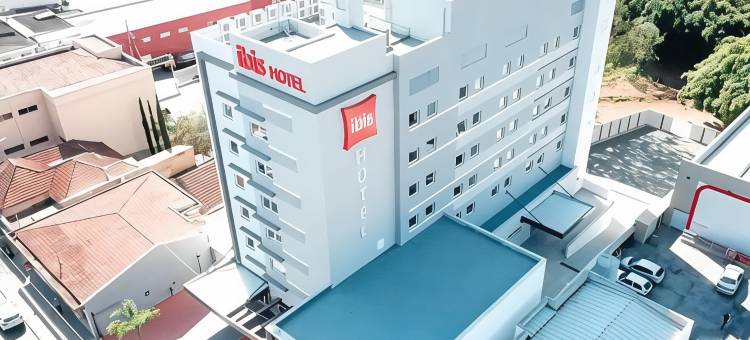 Ibis Guaxupe图片