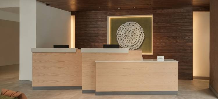 列克星敦乔治敦/学院万枫旅馆及套房(Fairfield Inn & Suites Lexington Georgetown/College Inn)图片