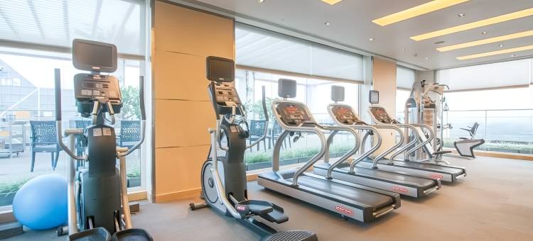 金奈安娜萨莱铂尔曼酒店(Pullman Chennai Anna Salai)图片