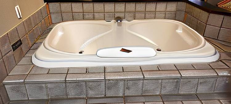 苹果树套房酒店(Apple Tree Inn)图片