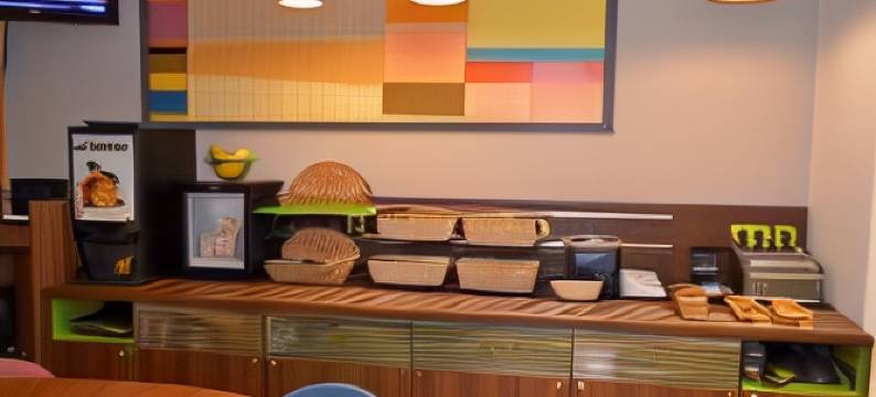 里昂中心大学阿德吉奥阿克瑟斯(Adagio Access Lyon Centre Université)图片