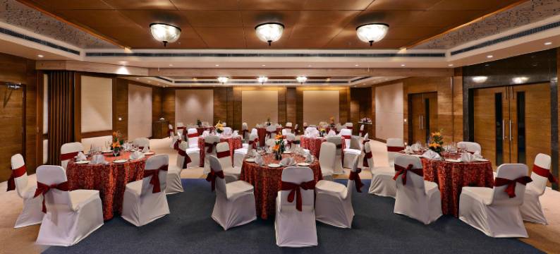 参纳卡休闲大酒店(Leisure Inn Grand Chanakya)图片