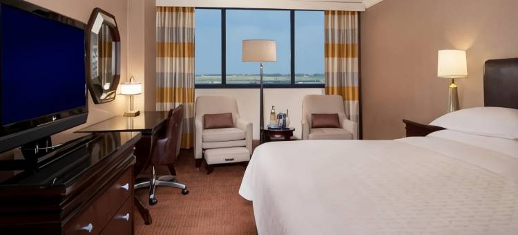 DFW机场喜来登酒店(Sheraton DFW Airport Hotel)图片