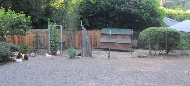 Have a great time in Inverness !图片