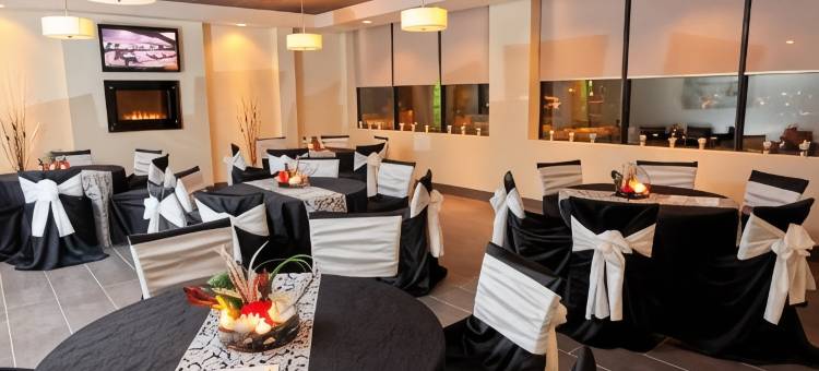 Holiday Inn & Suites 温莎(大使桥) by IHG(Holiday Inn & Suites Windsor (Ambassador Bridge) by IHG)图片