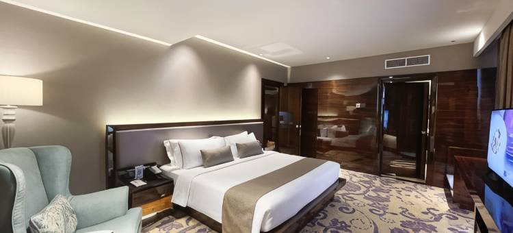 阿里斯塔帕拉姆邦酒店(The Arista Hotel Palembang)图片
