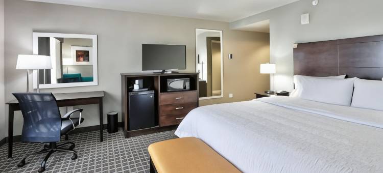 阿尔伯克基机场欢朋套房酒店(Hampton Inn & Suites Albuquerque/Airport)图片