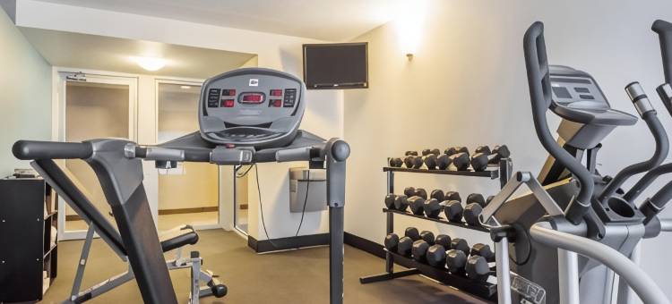 巴瑟斯特舒适酒店(Comfort Inn)图片