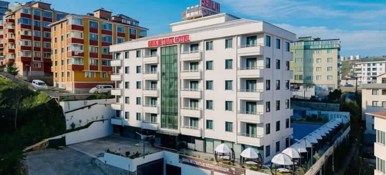 特拉布宗柏林套房酒店(BERLİN SUITE HOTEL)图片