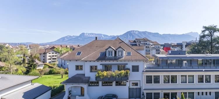 塞祖尔阿菲尔安内西九桥酒店(Séjours & Affaires Annecy le Pont Neuf)图片