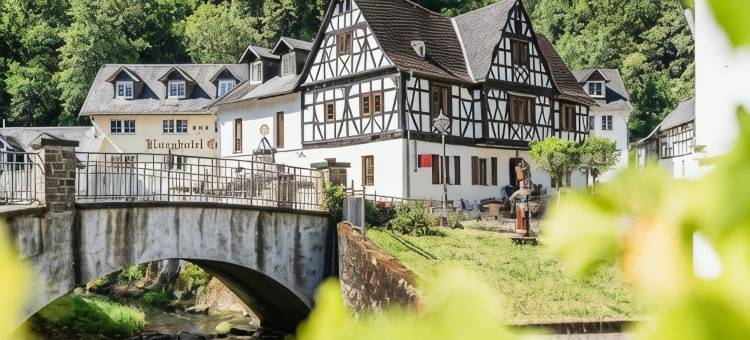 格瑞紮城堡乡村饭店(Landgasthof Zur Burg Grenzau)图片