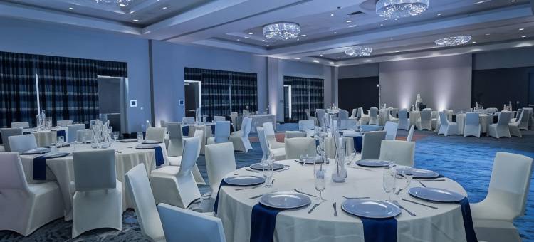 哈格斯兰丁伍德兰斯希尔顿安泊酒店(Embassy Suites by Hilton the Woodlands® at Hughes Landing)图片