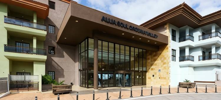 钻石套房酒店(AluaSoul Orotava Valley - Adults Only)图片