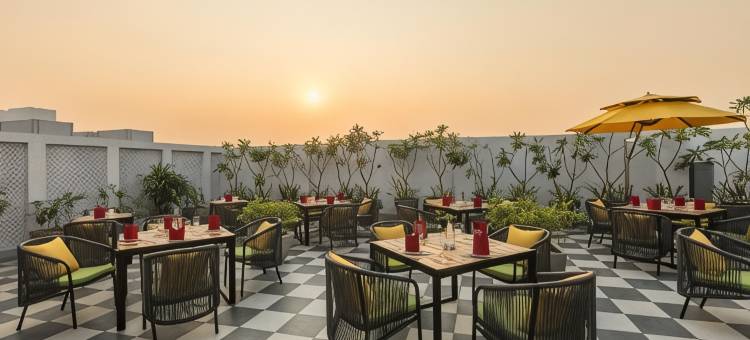 金色郁金香酒店贾兰达尔(Golden Tulip Jalandhar)图片