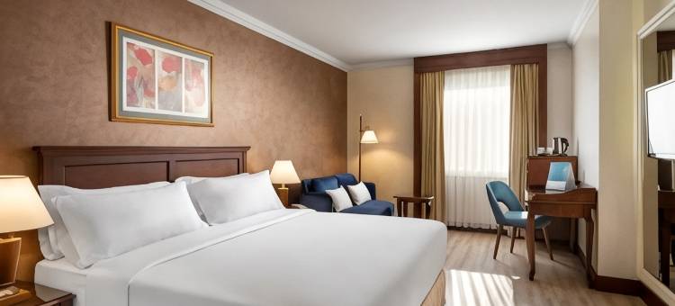 塔克西姆西方酒店(Occidental Taksim)图片