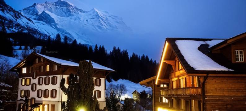 雪绒花酒店(Hotel Edelweiss)图片