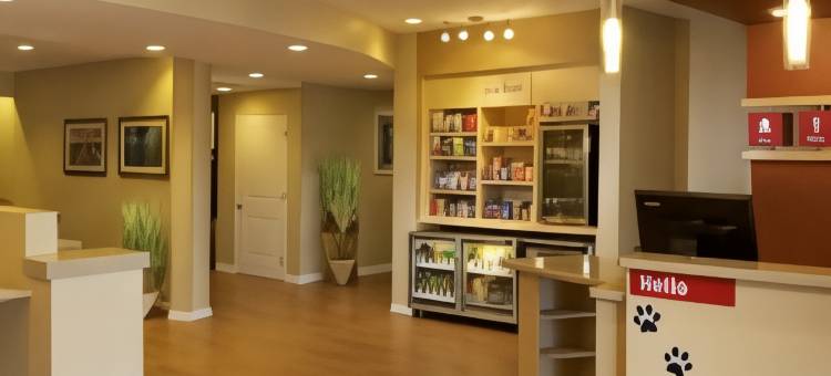 杰克森维尔TownePlace Suites酒店(TownePlace Suites Jacksonville)图片