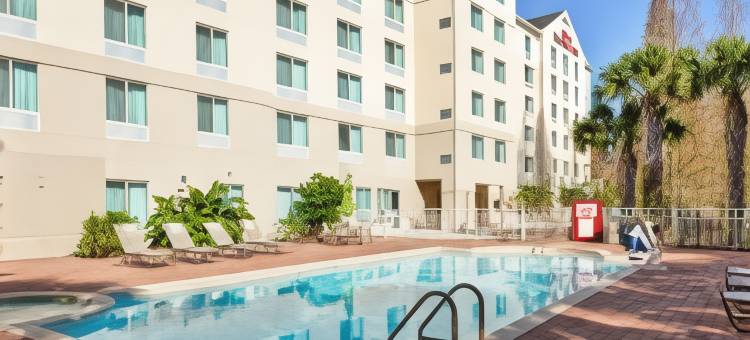 坦帕北希尔顿花园酒店(Hilton Garden Inn Tampa North)图片