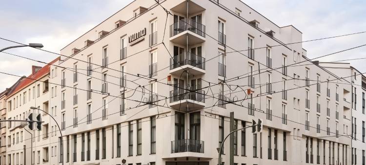 Numa Berlin Boxer图片