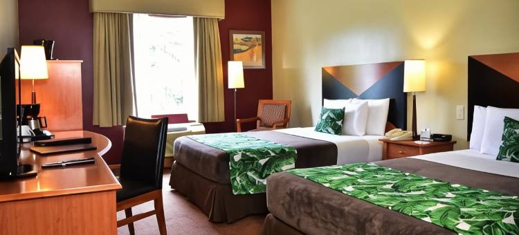 安眠酒店-圣何塞帕塞欧拉斯达马斯(Sleep Inn Hotel Paseo Las Damas)图片