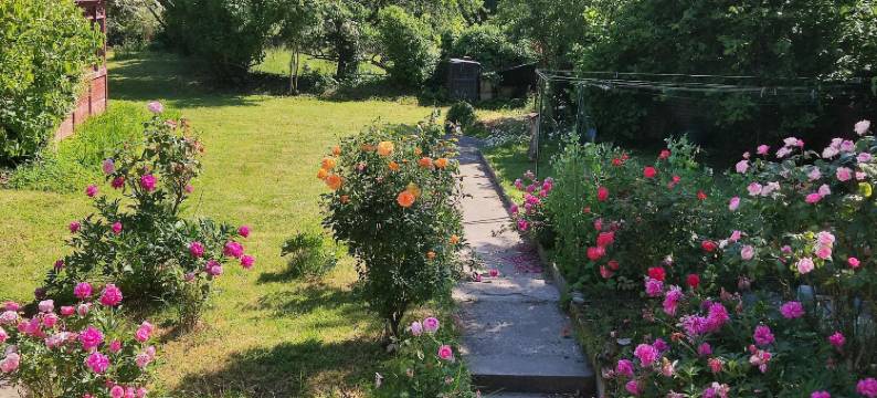 Le Petit Moulin Rouge图片