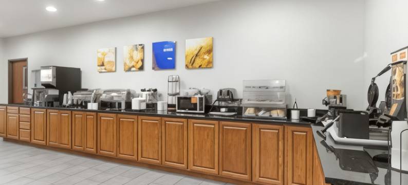达文波特四城舒适套房酒店(Comfort Inn & Suites Davenport - Quad Cities)图片