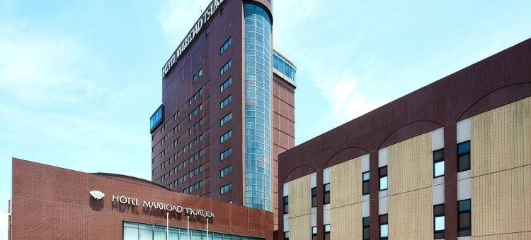 筑波马罗德酒店(Hotel Marroad Tsukuba)图片