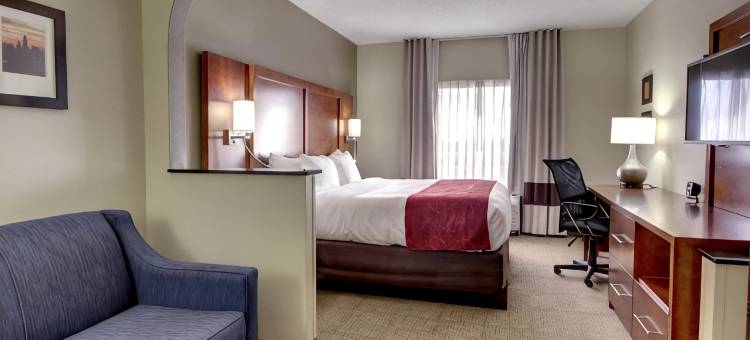 舒适套房酒店-大学科研园(Comfort Suites University - Research Park)图片