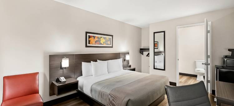 Quality Inn & Suites图片