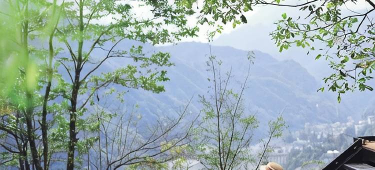 云浮半山•度假庄园图片