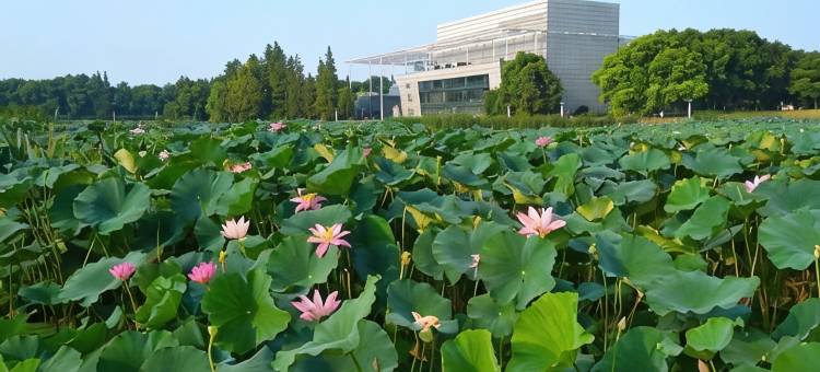 名家酒店(菱湖公园开放大学店)图片