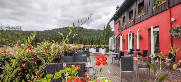 索菲花园酒店(Hôtel Restaurant Spa les Jardins de Sophie)图片