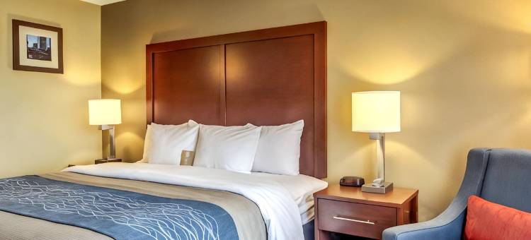格拉夫顿锡达堡舒适套房酒店(Comfort Inn & Suites Grafton-Cedarburg)图片