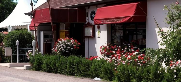 阿尔萨斯浅滩之家酒店(Hôtel Restaurant Au Relais d'Alsace)图片