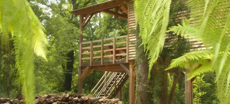 洛雷 SPA 生态小屋旅馆(Ecolodges de Loire & Spa)图片