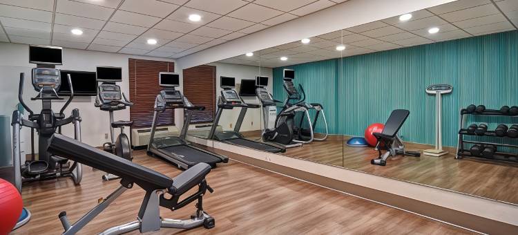 智选假日套房酒店阿伦敦- DORNEY园区(Holiday Inn Express & Suites Allentown Cen - Dorneyville)图片