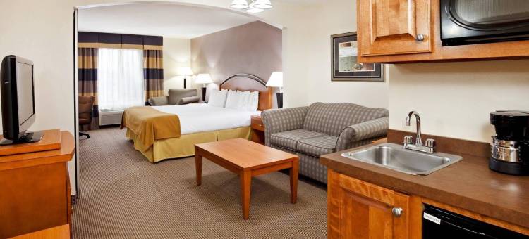 Holiday Inn Express 森林城市(Holiday Inn Express Forest City)图片