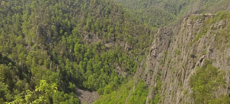 爱丽丝别墅酒店(Hotel Villa Alice)图片